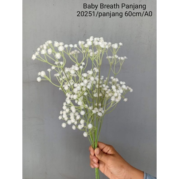 Baby Breath Panjang 20521 [BEST SELLER]