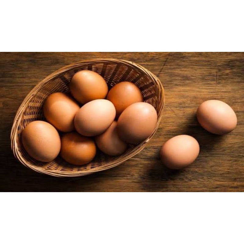 

Telur Ayam Fresh