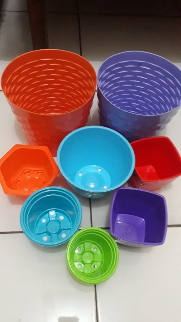 Pot Tanaman-bunga Bibit 9cm 5309-dx (lucky Star)