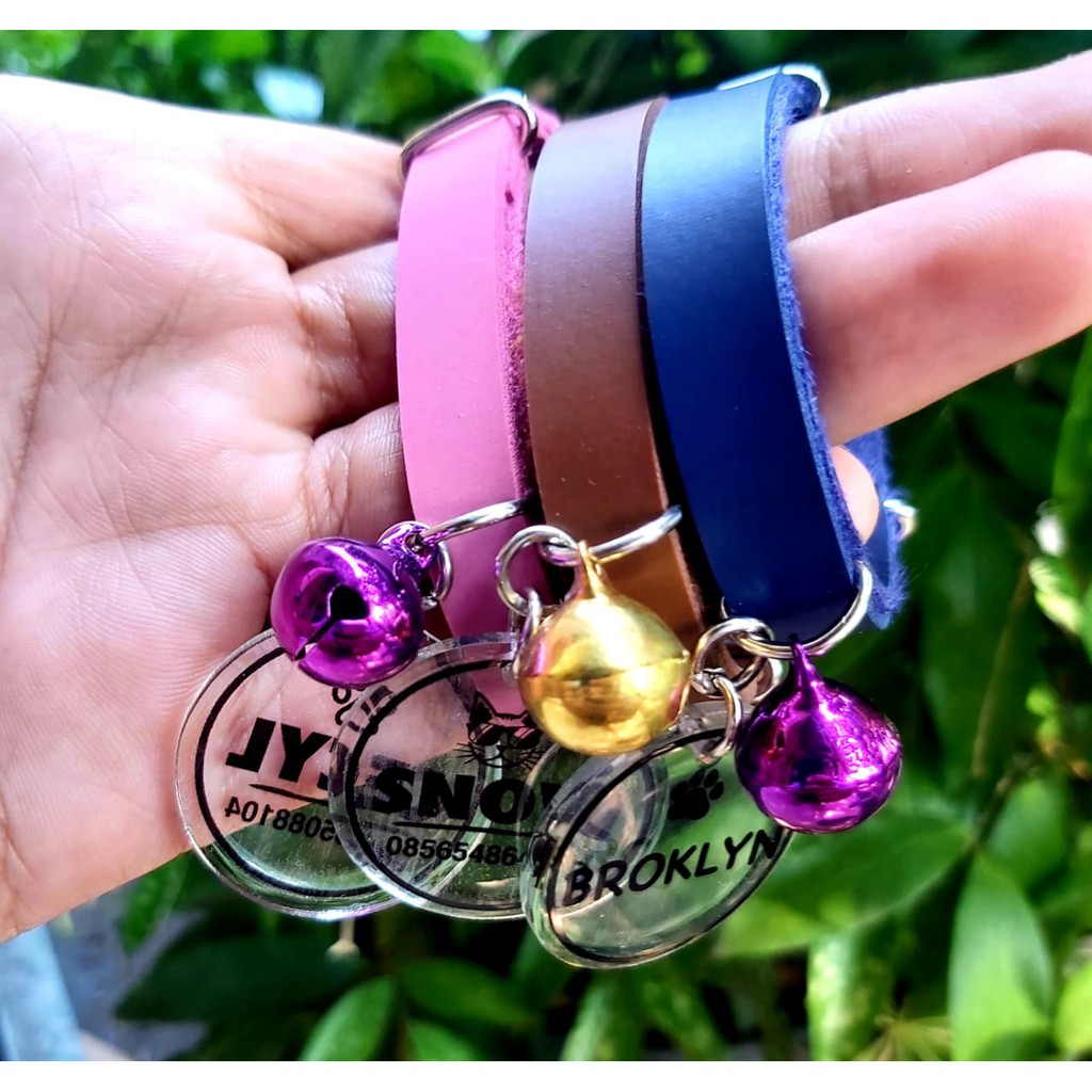 Kalung Kucing Nama Custom Transparant Strap Kulit