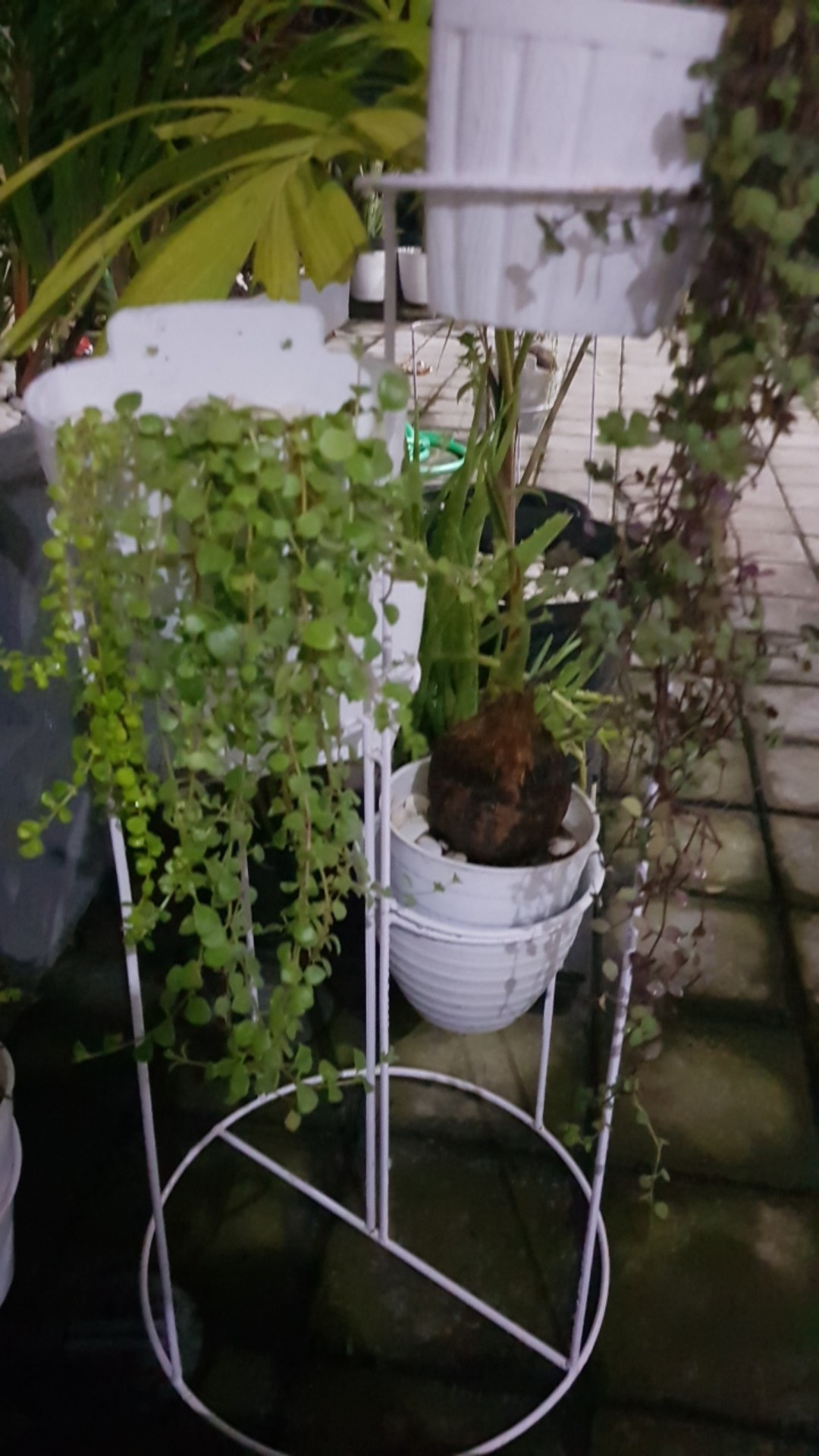 Standing Pot 4in1 Murah Diameter Pot 18cmt70cm