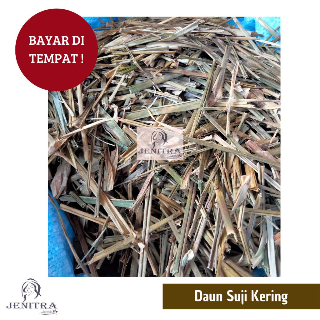 Daun Suji kering 500 gr - 1 kg