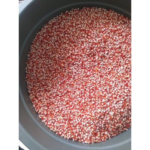 Jagung Manggis Jagungnya Para Juara Merpati doroBerat 25 Kg