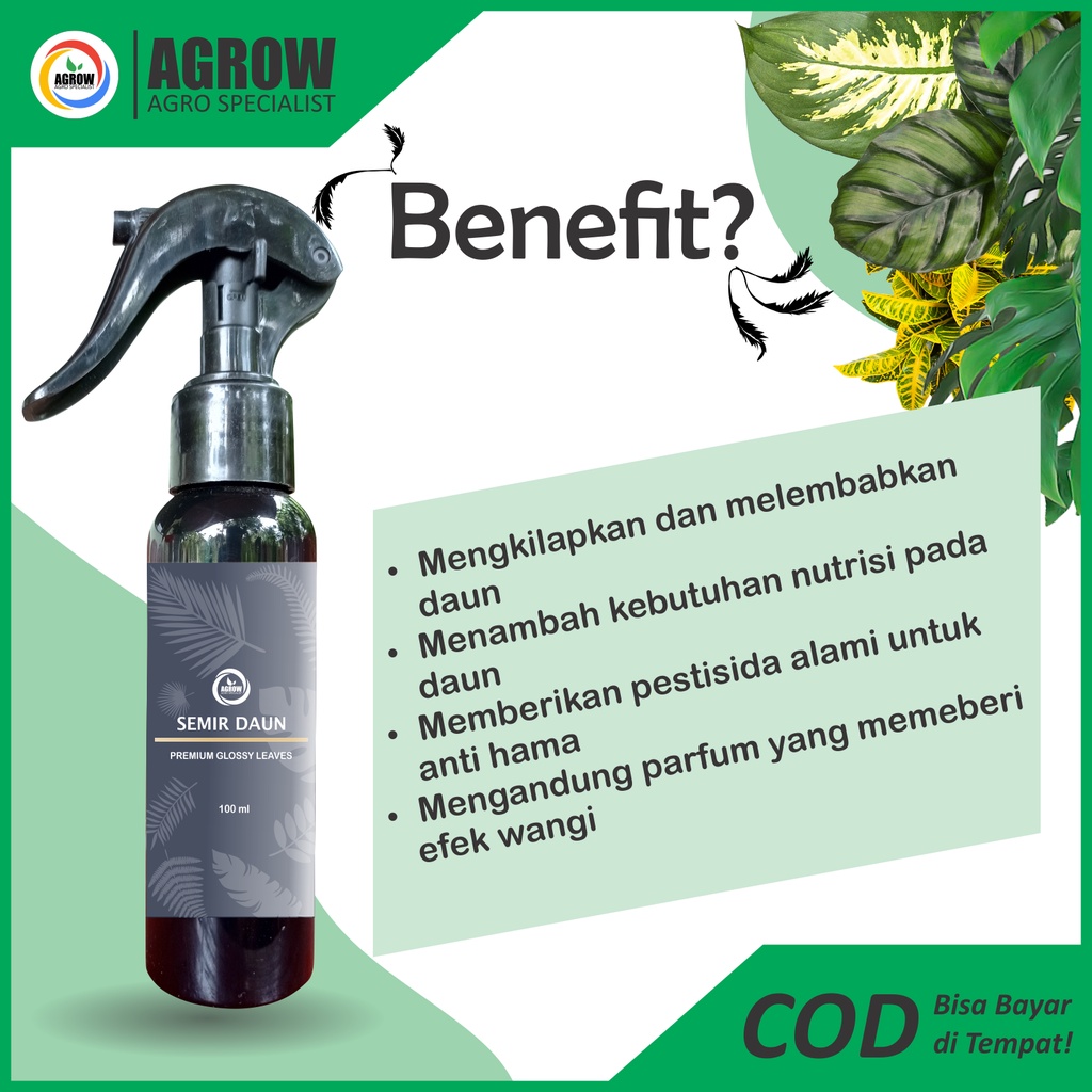 Semir Pengkilap Daun 100 ml Tanaman Hias Leaf Shine Aglonema Monstera Calathea Keladi Puring new desain