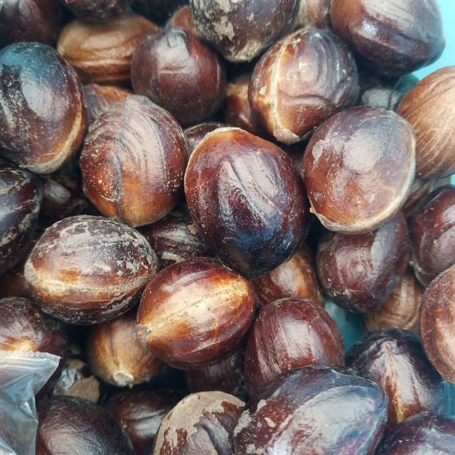 

Buah Pala / NutMeg 100 gram