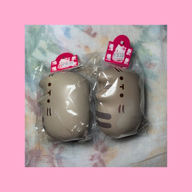 Pusheen Squishy