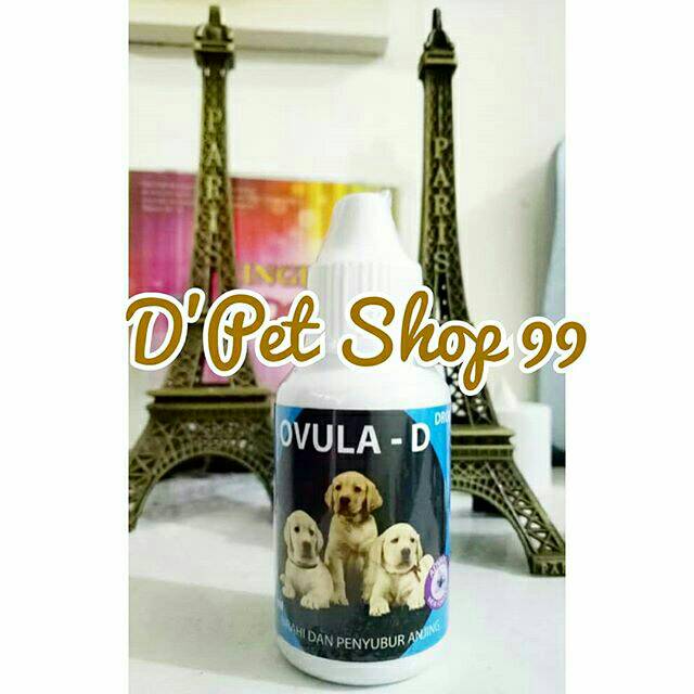 Ovula dog tetes (vitamin penyubur anjing)