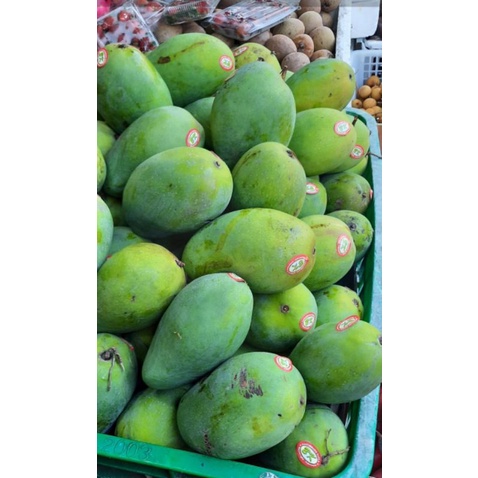 

mangga manis 1kg
