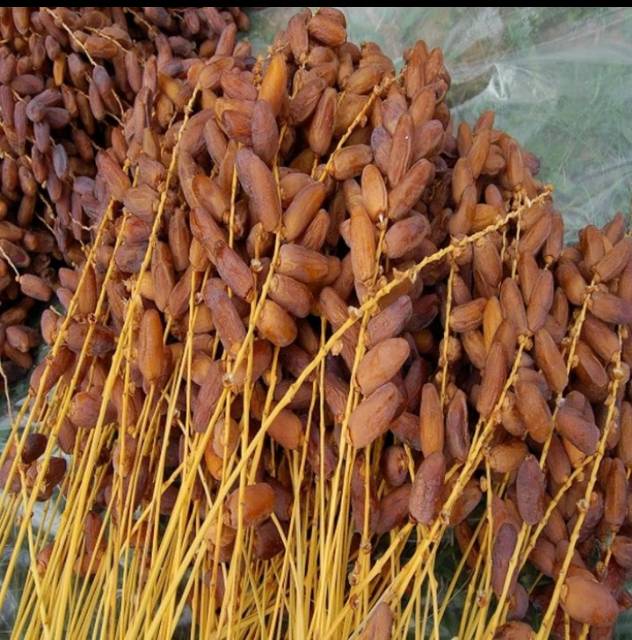 Kurma tunisia tangkai 5kg/oleh oleh haji dan umroh