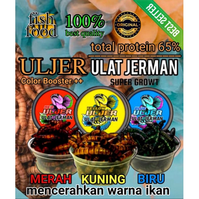 Ulat Jerman Kering Pakan Ikan Hias ( Arwana, Louhan, Channa, Oscar, Dll )