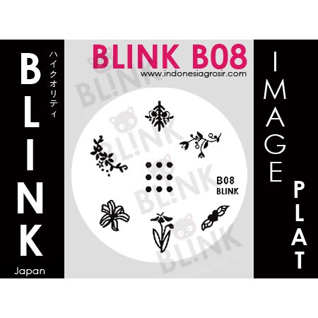 BLINK Image Plate B01-B09