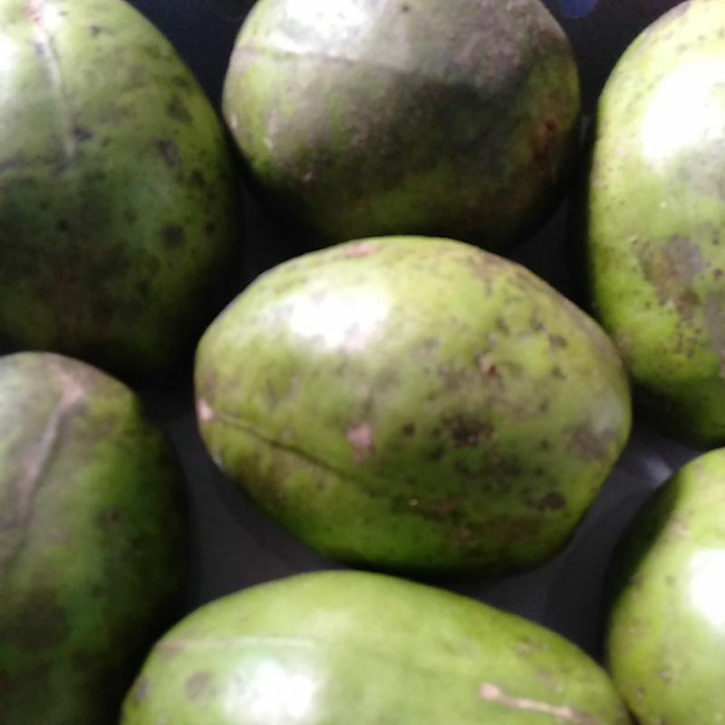 

Buah Dondong Kedondong segar
