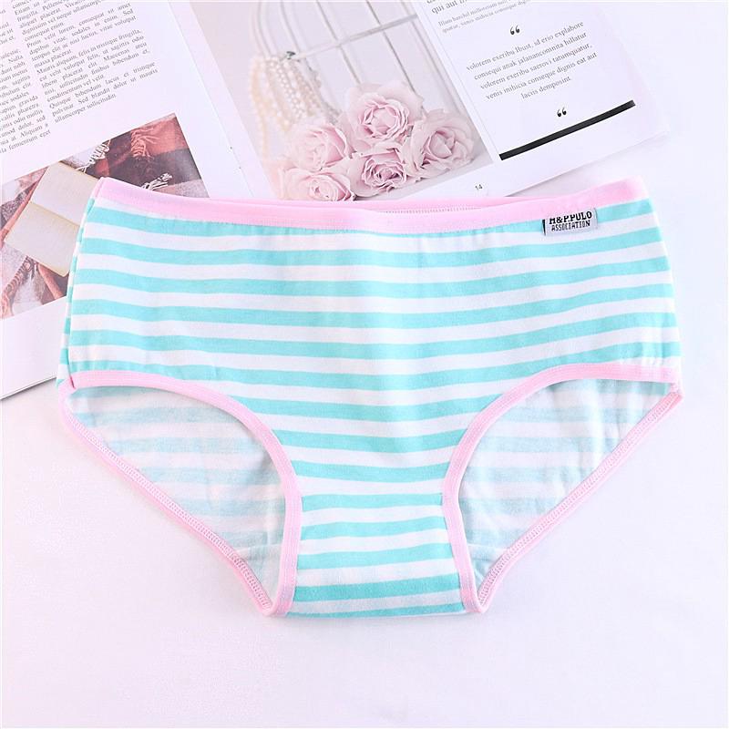  Celana  Dalam Brief Mid Waist Bahan Katun  Motif Garis  Garis  