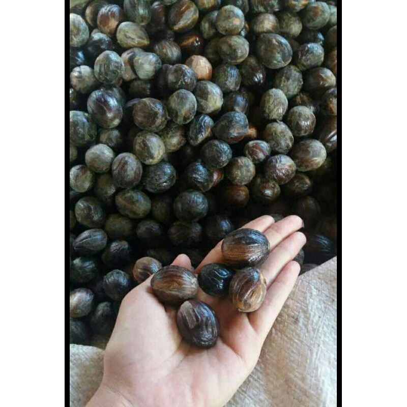 

TERMURAH!!! BUAH PALA/PAPA KERING 100 GRAM