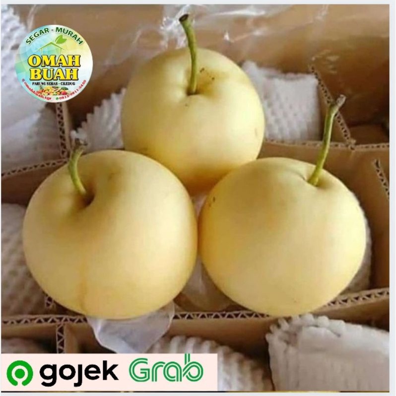 Pear Century Pir Century 0,5 - 1 kg
