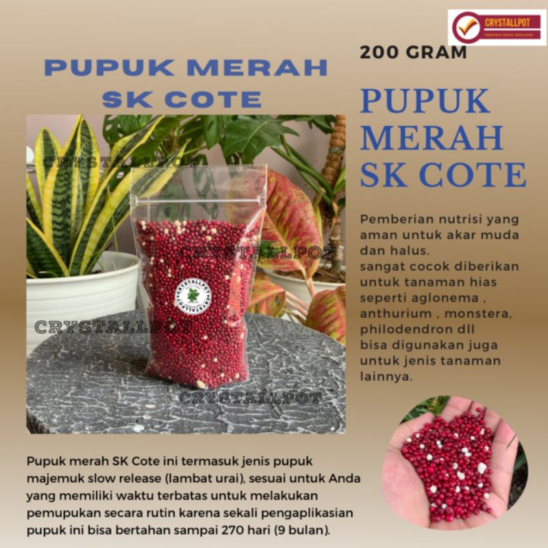 PUPUK MERAH SLOW RELEASE SK COTE PRECISE 19-10-13+2.5Mg0+TE 200 GRAM - REPACK SK COTE