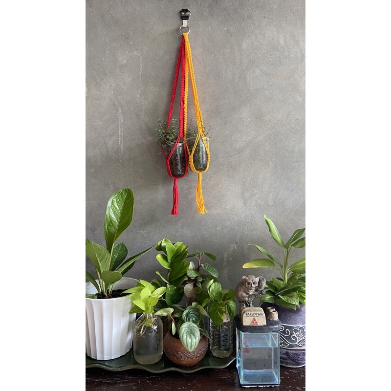 Macrame Plant Hanger (Tali Kur)