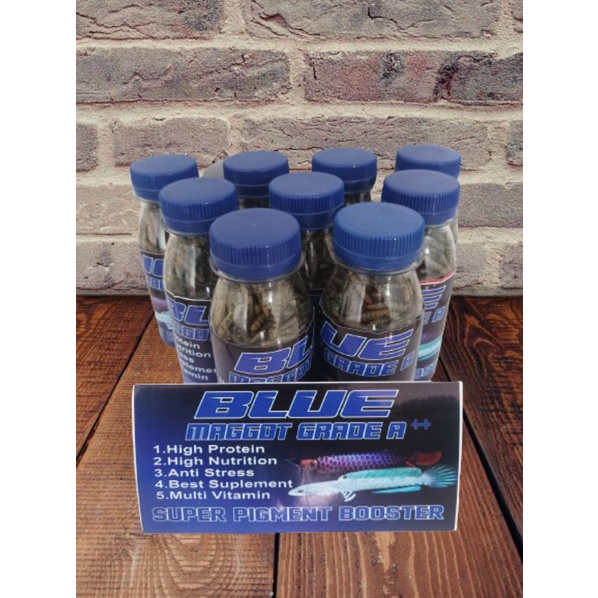 Maggot kering super blue booster pakan ikan channa, louhan, arwana, dan ikan hias lainya (100 ml)