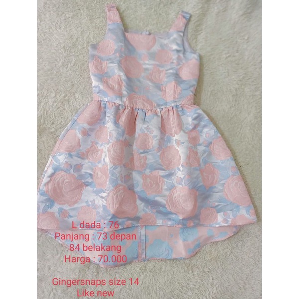 PRELOVED DRESS ANAL GINGERSNAPS