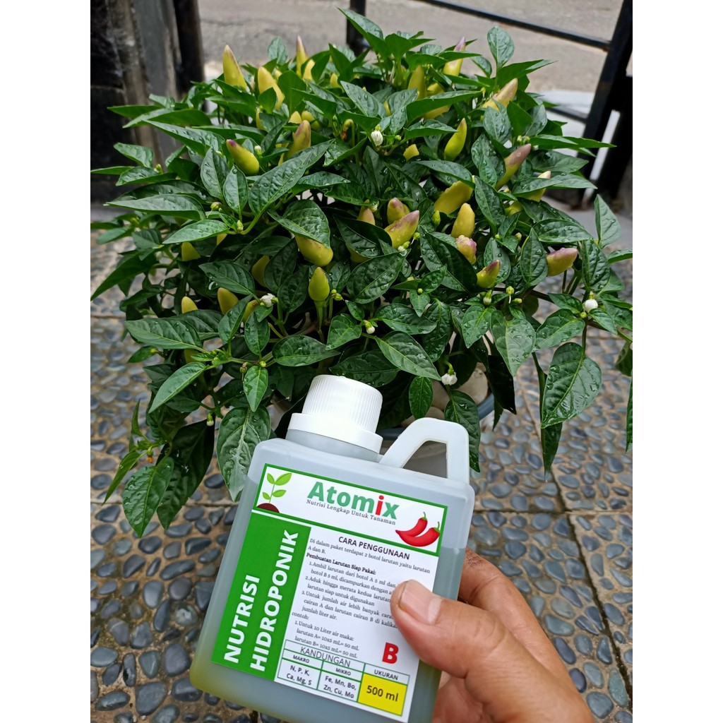 Nutrisi Hidroponik ABmix (Atomix) untuk sayuran dan buah buahan, 500ml