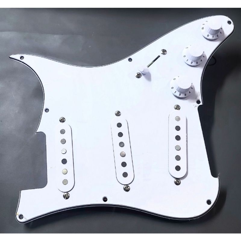 prewired gitar Prs silver sky SE signature john mayer original plus bonus screw/scrup pickguard