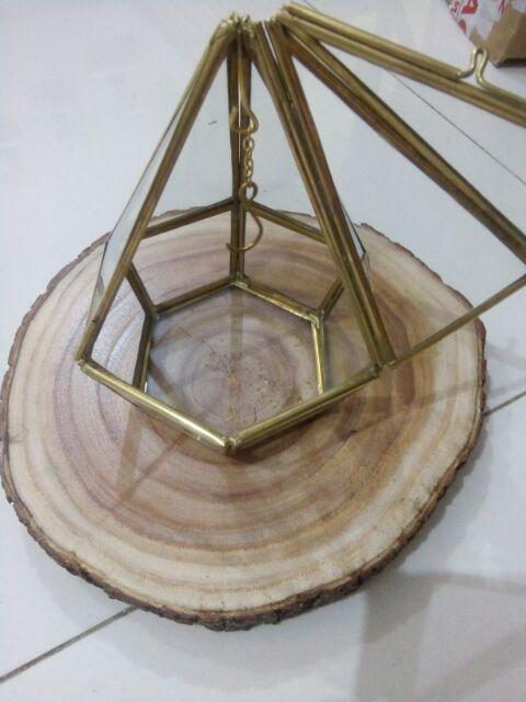 Terrarium Ringbox / Pengait Cincin