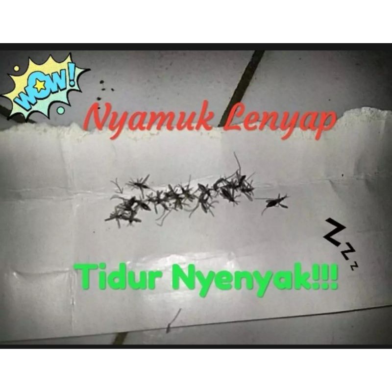 Pasir magic pasir lavender anti nyamuk refil malaria demam berdarah chikungunya paket per 1kg