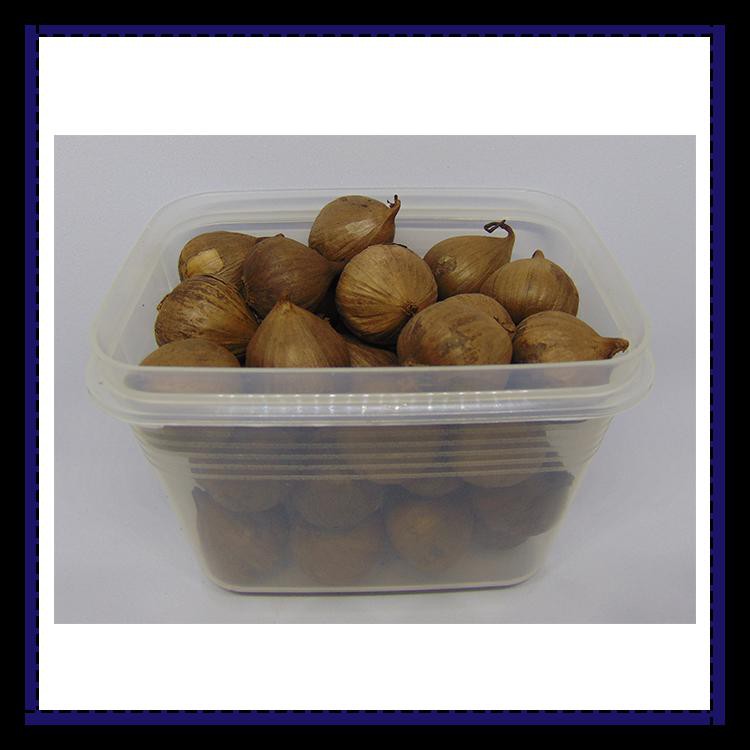 

Berkualitas Black Garlic Tunggal 250 Gram - Bawang Putih Hitam Tunggal/Lanang