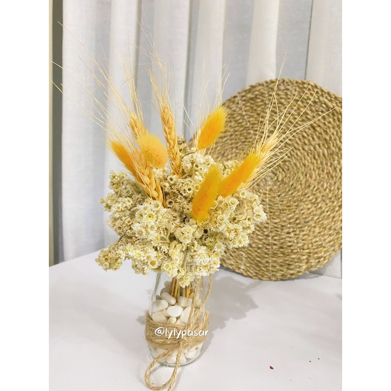 Bunga Kering Edelweiss / Paket Vas dan Bunny Tail lagurus / Edelweis dan Vas