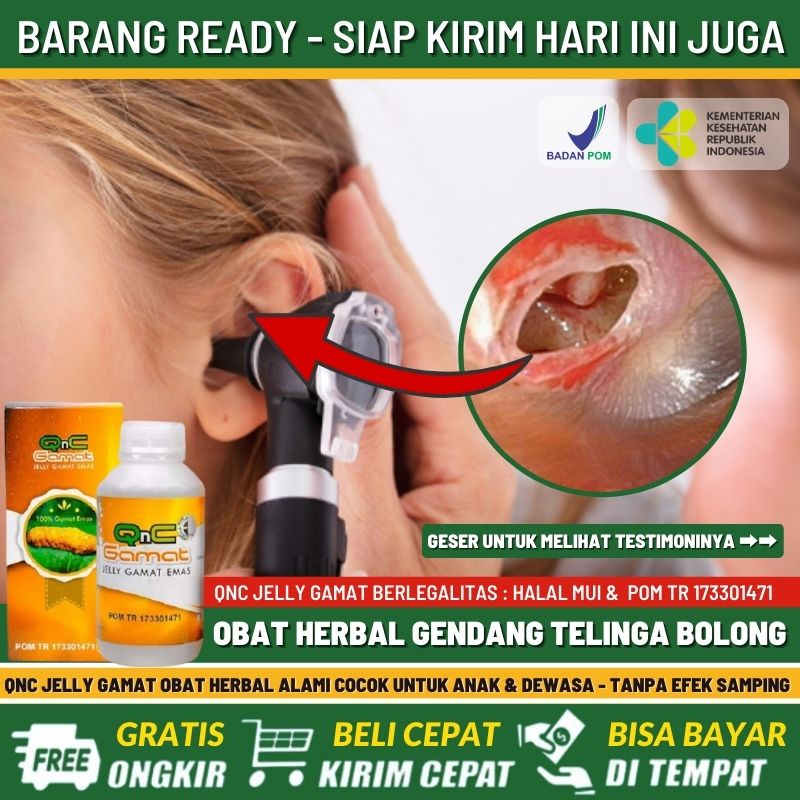 Aman BPOM Obat Tradisional Untuk Gendang Telinga Bolong 100% Alami, Obat Selaput Telinga Robek, Obat