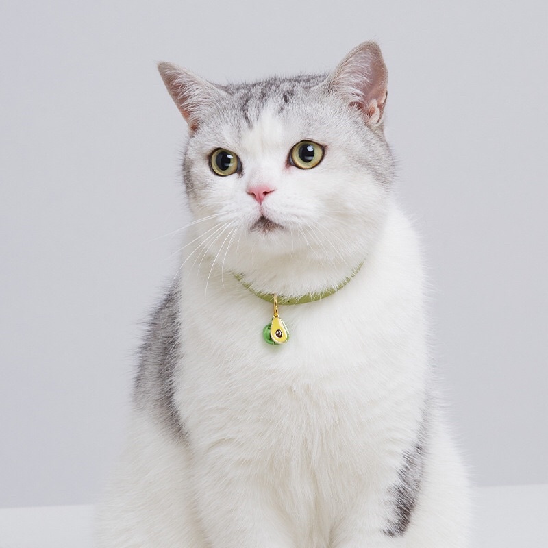 Cute Avocado Dog Cat Collar Kalung Anjing Kucing Lucu