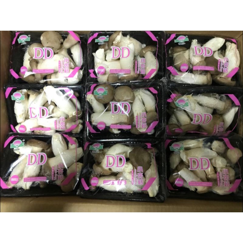 

JAMUR BABY OYSTER