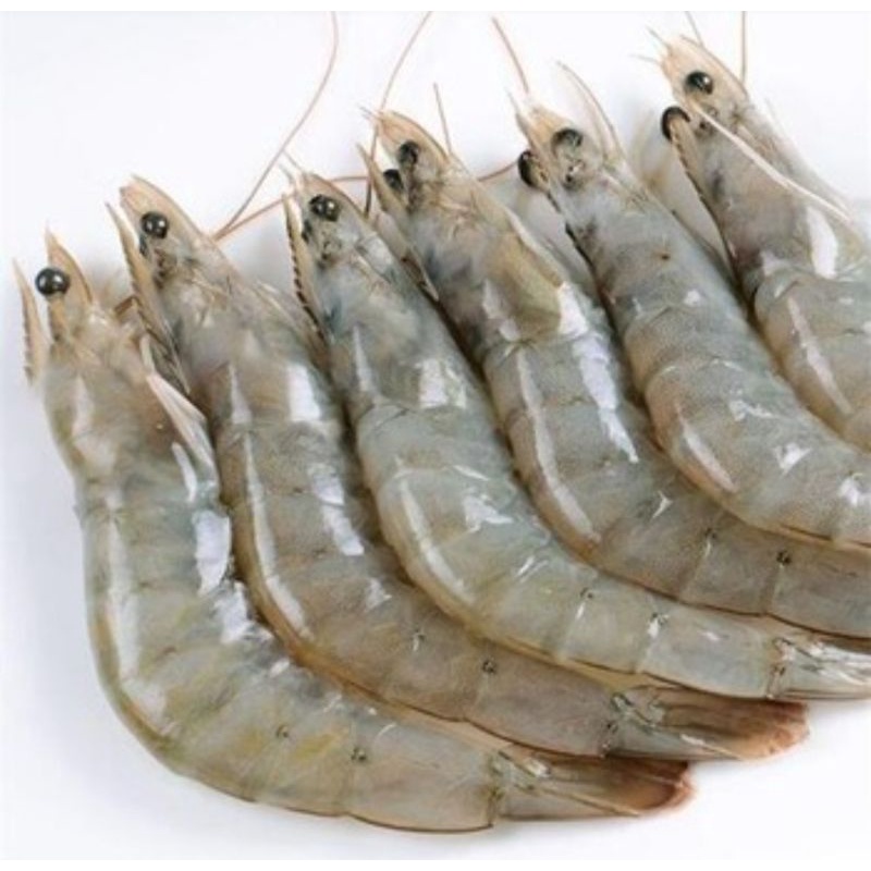 

Udang Vaname 500Gram isi 30-40