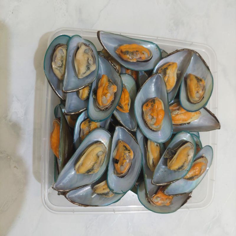 

kerang hijau kupas cangkang sebelah fresh feozen