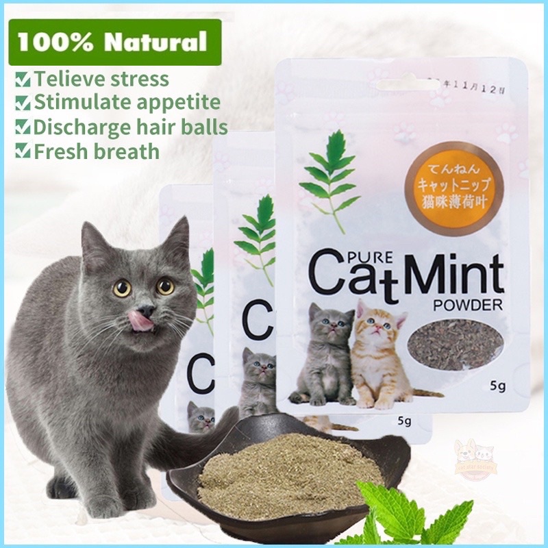 Catnip catmint cat mint PURE CATMINT POWDER  BIKIN FLY KUCING sugar glider bang joey