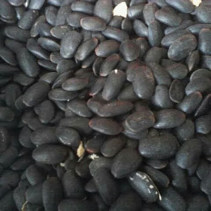 

DAWUNG BIJI KEDAUNG DAWUNG UTUH