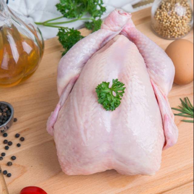 

Ayam Karkas Broiler ±1,2kg
