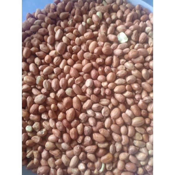 

Kacang Tanah (1kg)
