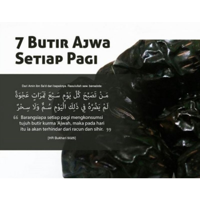 Kurma Ajwa 7 butir Organik Reguler Al Madinah Castle Farm Distributor Kurma Nabi Jakarta Nawidashopjkt