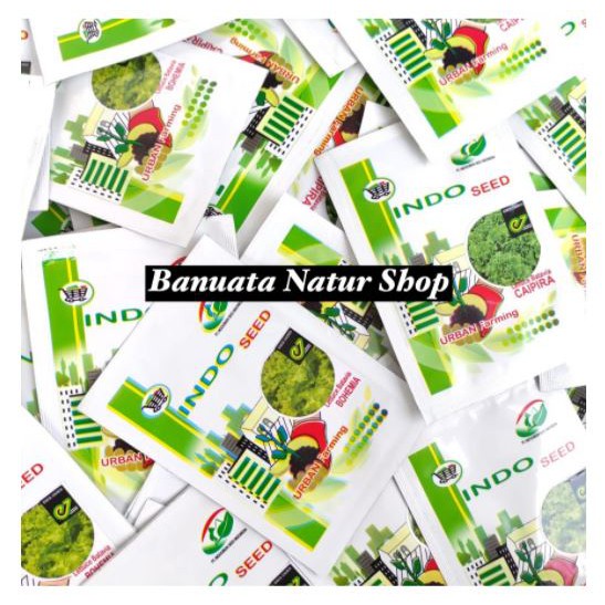 Benih Bibit Selada Batavia Lettuce Bohemia (Isi +- 900 biji) - Indo Seed Berkualitas Banuata