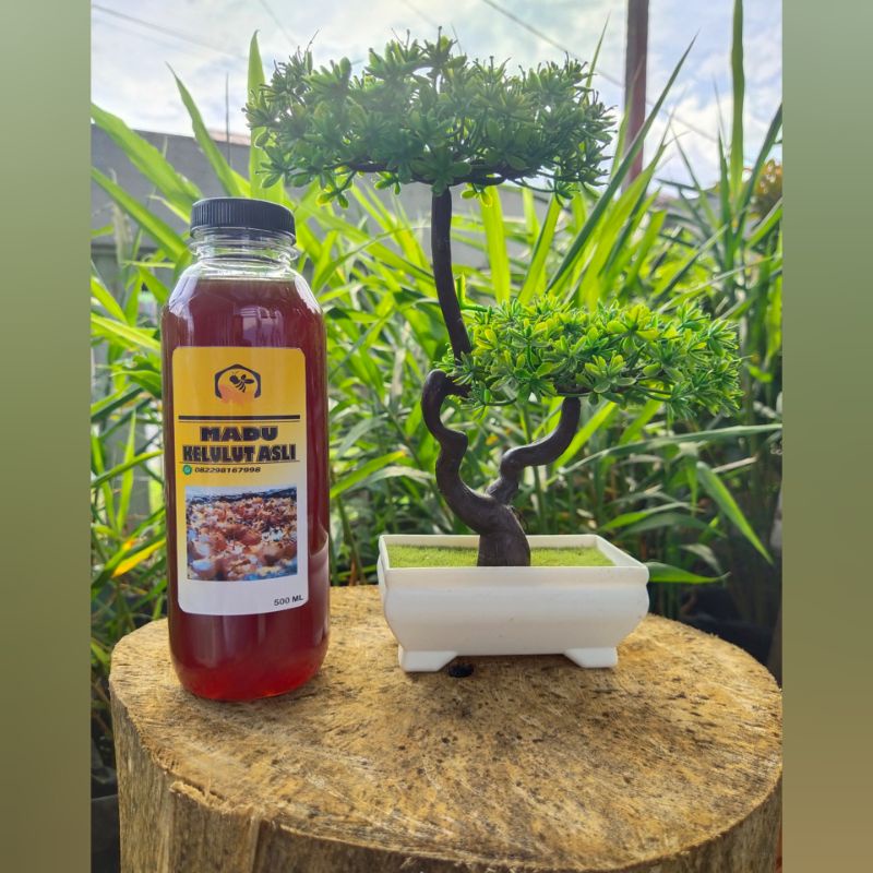 

MADU KELULUT 500 ML
