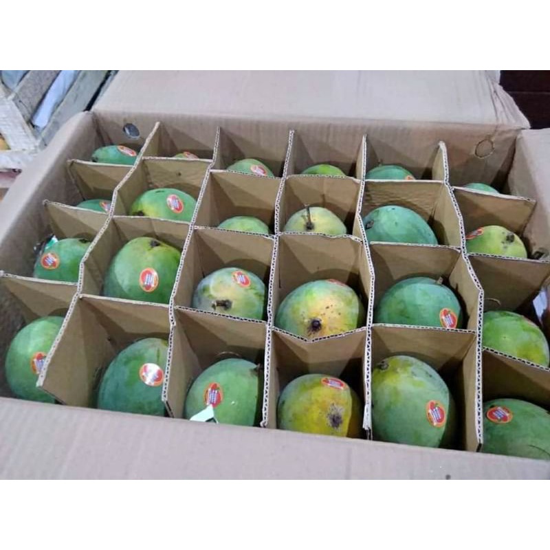 

mangga harum manis premium /1 dus