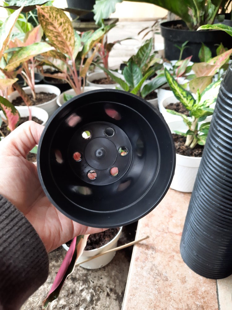 Pot Bunga Plastik 10 Cm Pot Es Krim Plastik Baru Pot Hidroponik