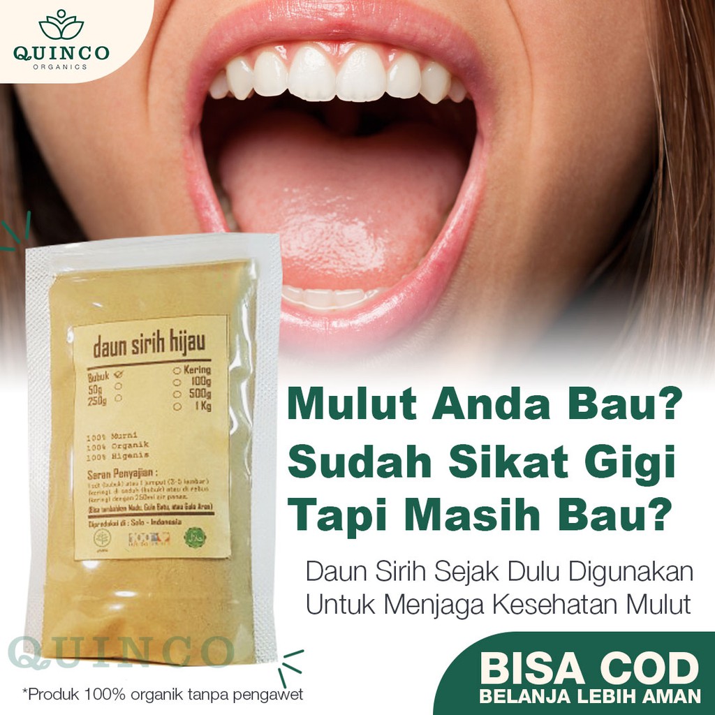 

Rempah Bubuk Daun Sirih Hijau Asli R111 Isi 100gr Antiseptik Herbal Kesehatan Tubuh Fresh Antiseptic