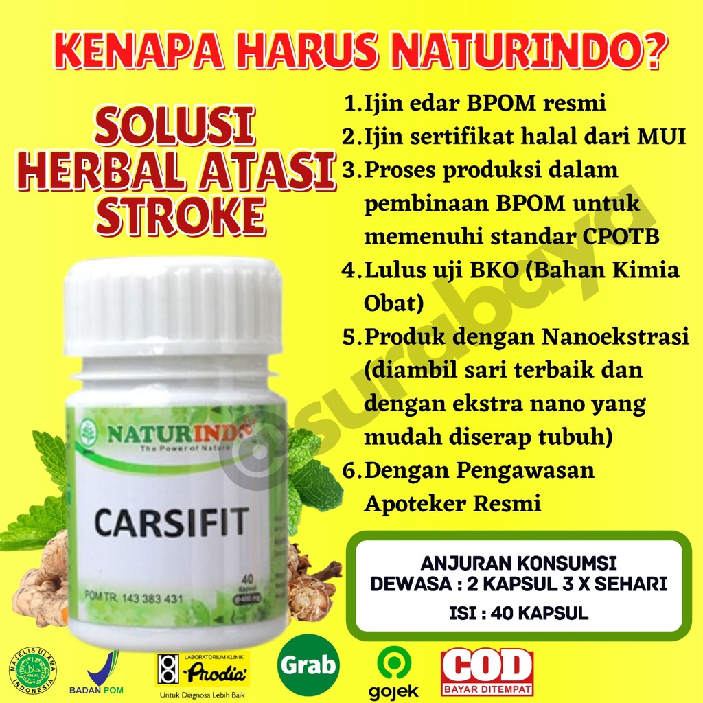 Obat Stroke Ampuh Obat Struk Stroke Ringan Strok Menahun Lumpuh Separo Sebelah obat herbal Paska stroke gejala sulit bicara kaku tangan kaki serta saraf otak Herbal Sambiloto Ampuh Jamu Herbal Strok Lumpuh Tradisional Carsifit Naturindo Surabaya 40 Kapsul-7