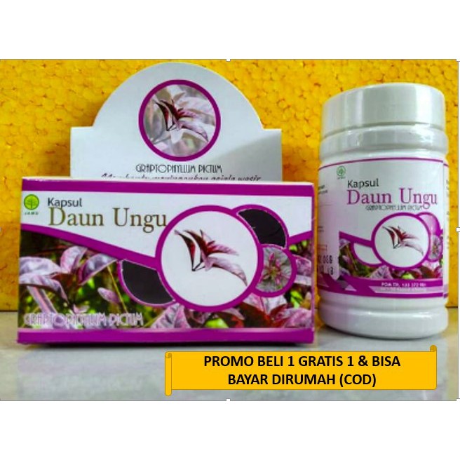 

KAPSUL HERBAL DAUN UNGU GRIYA ANNUR