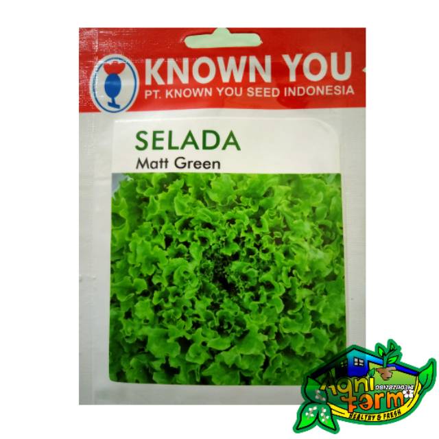 Benih Bibit Selada Keriting Matt Green Lettuce - KYS Known You Seed isi 5 gram