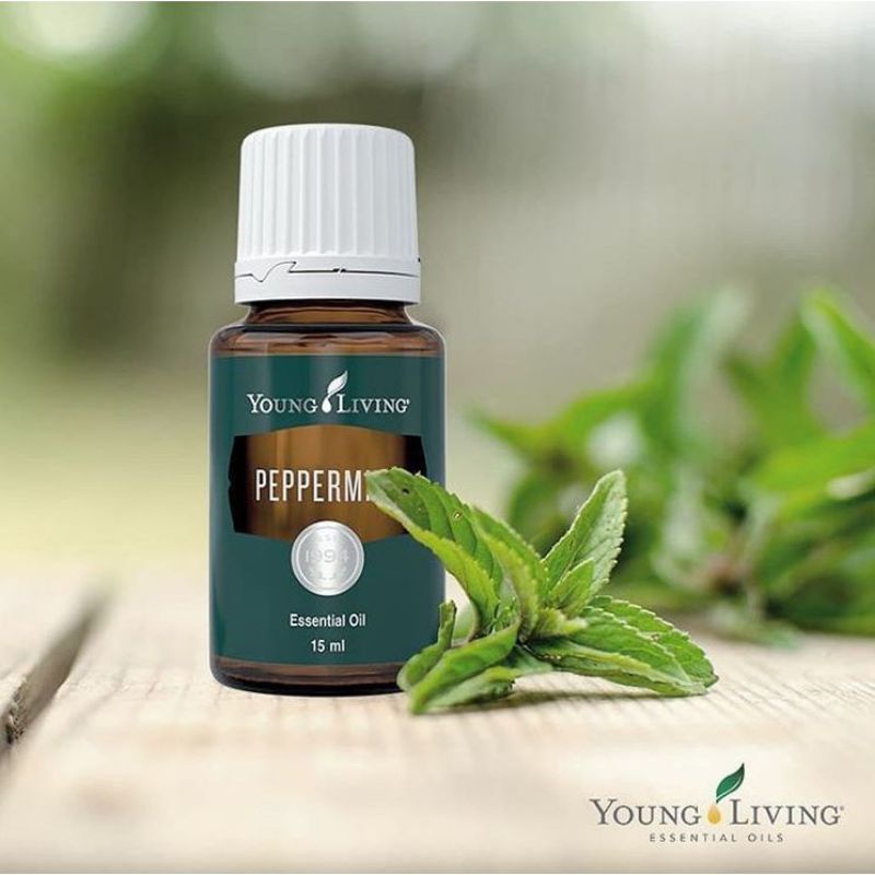 pepermint 15 ml young living
