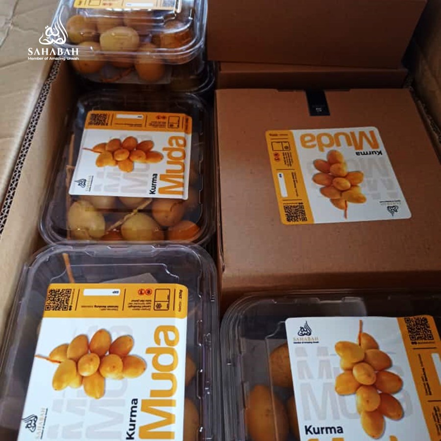 

Kurma Muda Promil Suami Istri Kuning Fresh Mengkel Asli