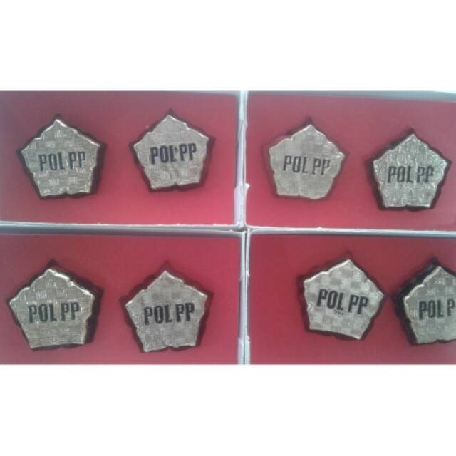 

PIN SATPOL PP